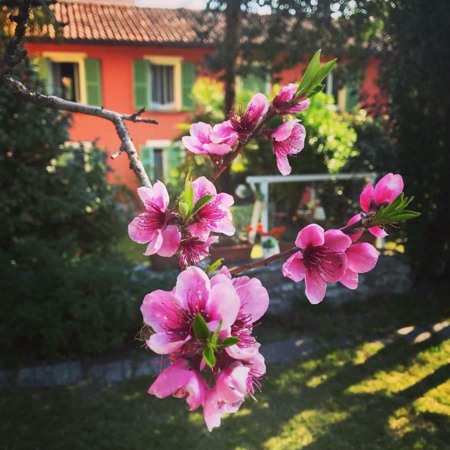 Il Giardino Segreto Arona, Charming Apartments Exterior foto